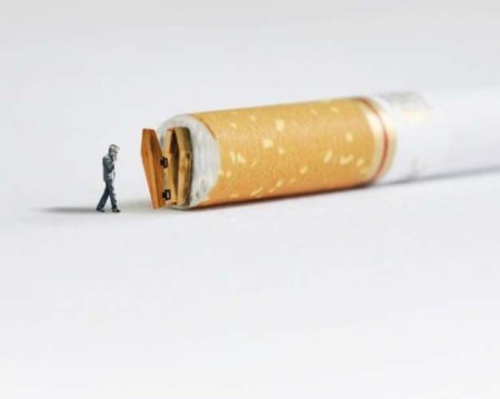 ��������������� �����