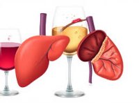 ����� ������: ��� ����������� ���������� ��������� ������, ������ � ����